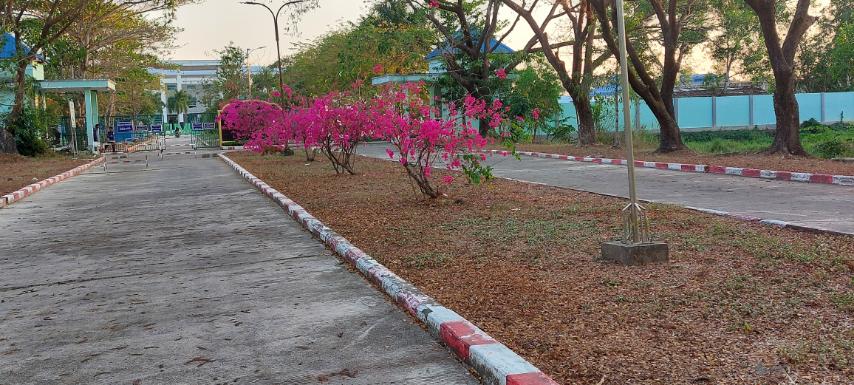 IMG-e311bca7f5610459b188a161a2cf5ba7-V